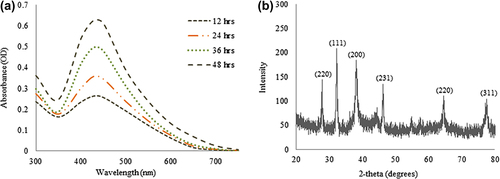 Figure 2. Time dependent UV-Vis spectra of reaction mixture, which shows the synthesis of silver nanoparticles (a), XRD pattern of silver nanoparticles (b).