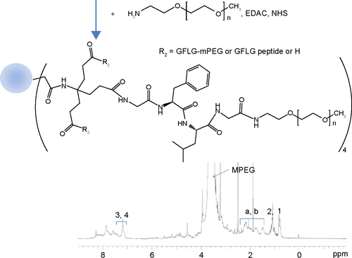 Figure S4 1H nuclear magnetic resonance spectra for the dendrimer-GFLG-mPEG conjugate.Note: Peaks of a and b was indicated methylene protons of dendrimer core.Abbreviations: GFLG, Gly-Phe-Leu-Gly; EDAC, N-(3-dimethylaminopropyl)-N-ethylcarbodiimide hydrochloride; NHS, N-hydroxysuccinimide; PEG, poly(ethylene glycol); MPEG, methoxy poly(ethylene glycol).