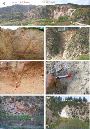 Figure 6. Examples of faults surveyed in the study area at the macro- and meso-scale: (a) panoramic view of the right slope of the Arvo river and some faults related to the main fault systems; (b) N–S transpressive faults; (c) N–S right-lateral transpressive faults; (d) last kinematics on the N–S fault plane in the Pleistocene conglomerates; (e) left-lateral striae on the NW–SE fault plane; (f) ancient overthrust; (g) NW–SE fault zone with associated thick fault gouge.