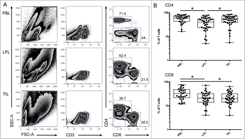 Figure 1. Differential representation of CD4 and CD8 T cells in peripheral blood, colon lamina propria, and corresponding tumor. (A) Representative FACS analysis of CD4 and CD8 T cell populations in the indicated compartment. (B) Compiled analysis of CD4 and CD8 T cell proportions among total CD3-positive cells in the different compartments (n = 42). The Wilcoxon paired non-parametric t-test was used for statistical analyses (*: P < 0.05). LPL, lamina propria lymphocytes; PBL, peripheral blood lymphocytes; TIL, tumor-infiltrating lymphocytes.