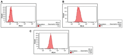 Figure 9 Cellular accumulation of DNR in K562 cells after treatment for 48 hours. A) control, B) DNR-Sol, and C) DNR-MNPs.Abbreviations: DNR, daunorubicin; DNR-Sol, daunorubicin in solution; DNR-MNPs, daunorubicin-loaded magnetic nanoparticles.