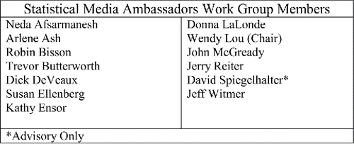 Figure 7. Members of the statistical media ambassadors initiative work group.