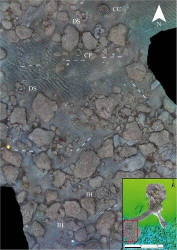 Figure 32. Orthophoto mosaic of the extended area of the 2019 gun site showing a large spread and variety of material which include: CC – copper cauldrons, CP – cast iron pot, DS – deadeye straps and IH – iron hoops. Also scattered among these objects are round and double head shot. Scales are 1 m with 20 cm increments (survey and mosaic produced by Daniel Pascoe).