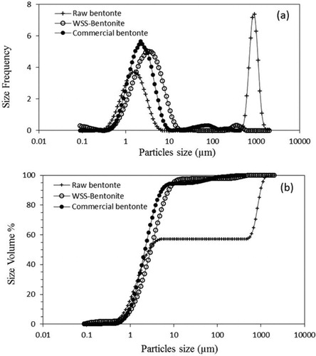 Figure 2. Effect of purification of raw bentonite on the PSD compared to commercial bentonite.