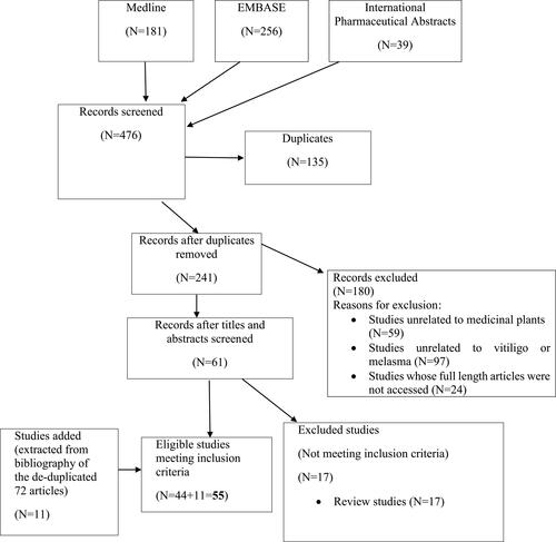 Figure 1 Flow chart of study selection process.