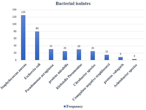 Figure 1 Frequency of bacteria isolated from surgical site infection in Dessie Comprehensive Specialized and Borumeda General Hospital, from April 2021- February 2022.
