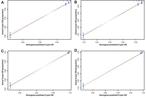 Figure 3 Calibration plots of OS associated nomograms in both training and validation sets. (A and B) Calibration plots of 3- and 5-year OS in training set; (C and D) calibration plots of 3- and 5-year OS in validation set.