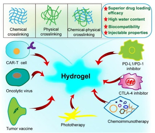 Figure 1. Illustration of the application of hydrogels in immunotherapy of gastrointestinal tumors. The crosslinking methods of hydrogels include chemical, physical and chemical-physical crosslinking. The review described the research progress on hydrogel delivery systems with immunotherapy methods such as checkpoint blockade therapy for gastrointestinal neoplasms.