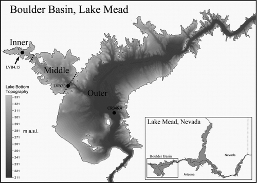 Figure 1 Lake Mead and the 3 sampling stations in Boulder Basin.