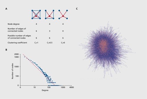 Figure 2. (A) Example of a node's local network connectivity measured with the node degree and the clustering coefficient. Red, node of interest; blue, neighboring nodes; red lines, node interactions with neighbors; blue lines, interactions between neighboring nodes. (B) Node degree distribution of the human protein-protein interaction network derived from high quality interactions of the ConsensusPathDB. The node distribution (in log-log scale) follows a power law distribution y=axb with parameters a=4896.5 and b=- 1.504 (red line). Computational analysis of the network was done with the “network analyzer” function in Cytoscape. (C) Visualization of the protein-protein network consisting of 9 533 proteins with 80 422 interactions using Cytoscape.