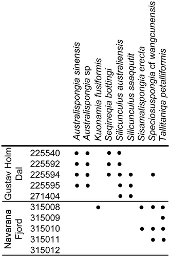 Figure 2. Distribution of described spicule taxa in the Holm Dal Formation. GGU samples are listed in numerical order.