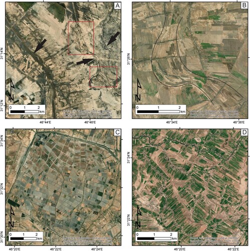 Figure 2. Satellite imageries (ESRI TerraColor NextGen) of inactive fluvial channels (A, B), active canals (C), and the active fluvial channels with the perpendicular herringbone pattern of the crops (D). In Figure 2A, the black arrows point out the yellowish-brownish features of the inactive fluvial channels, while the red rectangles highlight the herringbone pattern of inactive canals. In Figure 2B, the black lines point out the ridge-and-swale texture of the scroll bars.