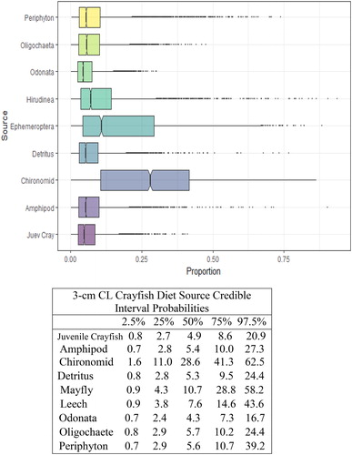 Figure 5. Proportional diet contributions and credible intervals from 9 littoral food sources for 3 cm CL northern crayfish in Buffalo Lake (n = 42). Members of the 3 cm CL size class of northern crayfish obtained for this stable isotope analysis were trapped in baited minnow traps spatially stratified throughout Buffalo Lake in depths ranging from 1 to 5 m. The wide distribution in credible intervals implies a large amount of uncertainty in the percent contribution estimates for littoral prey items; however, we observe an increasing shift in diet toward a greater reliance on Ephemeroptera and Chironomidae.