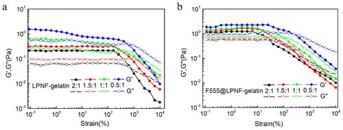 Figure 5. Rheological measurements of dynamic strain sweep of the LPNF gel (a) and F555@LPNF (b) co-assembled gels at a constant frequency of 1 Hz over a strain range of 0.1–10,000%.