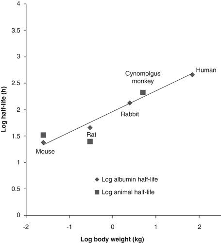 Figure 4. Allometric scaling of the anti-albumin VNAR domain, E06 is shown. Comparison of the published half-life of albumin in mouse, rat and cynomolgus monkey (⧫) and that of 2V-E06 (▪) from the data published in Müller et al., 2012 Citation[51] is depicted.