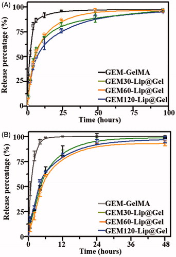 Figure 5. The drug release profile of GEM in GelMA and GEM-Lip@Gel with the different quantities of GEM-Lip contents at GelMA concentration of 20% (A), and at GelMA concentration of 10% (B).