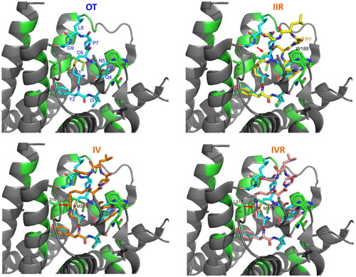 Figure 5. Superimposition of peptides IIR (yellow), IV (orange), IVR (pink) onto OT (cyan) in the OTR receptor (PDB 7QVM). Residues of OTR in close contact with OT ligand (distance < 5 Å) are coloured in green. Only the side chains of W188, M315 and L316 are shown. Analogues II, IV, IVR were modelled by constraining dihedral angles to adopt the bioactive conformation of OT. The 1H-[1,2,3]triazol-1-yl ring in peptides II, IV, IVR is indicated by an arrow.