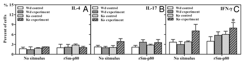 Figure 4. Intracellular interferon-γ (IFN-γ), interleukin 4 (IL-4), and interleukin 17 (IL-17) staining of CD3+ CD4+ cells isolated from spleens. Initial gating was performed using the CD4 marker. The percentage of IL-4 secreted cells in control and experimental groups are shown in panel (A). The percentage of IL-17 secreted cells in control and experimental groups are shown in panel (B). The percentage of IFN-γ secreted cells in control and experimental groups are shown in panel (C). Wd, wild type; KO, C3 knockout.