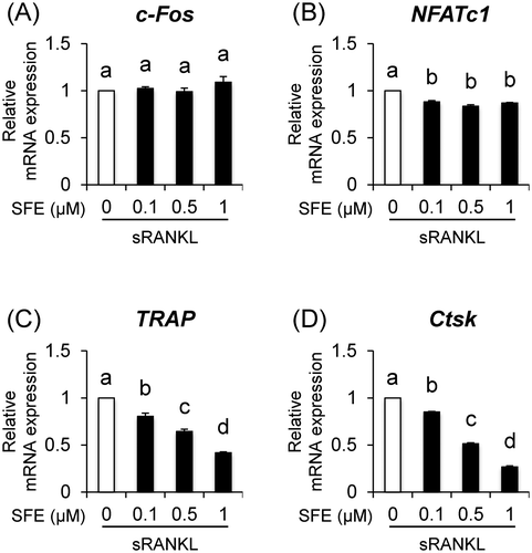 Fig. 2. Effects of SFE on expression of osteoclast-differentiation associated genes.