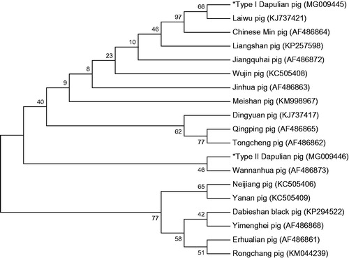 Figure 1. Phylogenetic relationships of Dapulian pig and 17 other pig breeds based on the near-whole mitochondrial genome using NJ method.