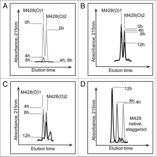 Figure 8 Effect of Msr enzymes on oxidized M428 containing peptides from a 2 hour 0.3 M H2O2 treated IgG1 sample. The loss of oxidized peaks is shown in (A) (MsrBA), (B) (MsrA), and (C) (MsrB). The increase in the native peak using MsrB is shown in (D).
