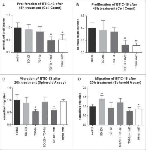 Figure 4. Functional effects of metformin and TGF-β2 on proliferation and migration of BTICs. (A and B) Normalized proliferation of BTIC-13 and BTIC-18 was assessed using cell counts. Absolute proliferation values after 48 h were divided by the 0-h value to obtain a proliferation rate. The proliferation rate of any condition was subsequently normalized to the proliferation of the medium control. (C and D) Spheroid migration of BTIC-13 and BTIC-18 after 20 h. Spheres of BTICs were created 2 d prior to treatment with metformin and photographed after 20 and 48 h. The 20-h time point was used to explore migration in order to avoid proliferation bias. Normalized migration was calculated by dividing the absolute value of the area covered in cells after 20 h by the 0-h area. Afterwards, the migration rates under each condition were normalized to the migration rate of the medium control.