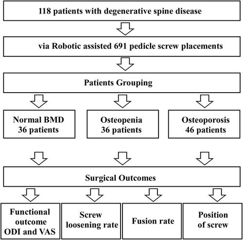 Figure 1 Flowchart of the study. In total, 118 patients diagnosed with degenerative spine disease were enrolled in this retrospective study, and all patients underwent spinal fixation and fusion through minimally invasive surgery with the assistance of a robotic system. They were classified into three groups: normal, osteopenia, and osteoporosis, according to the World Health Organization’s diagnostic criteria for osteoporosis. There were 36 patients in the normal group, 36 in the osteopenia group, and 46 in the osteoporosis group. After the operation, the surgical outcomes were evaluated, including the ODI (Oswestry disability index), VAS (visual analog score), screw loosening rate, and spinal fusion rate.