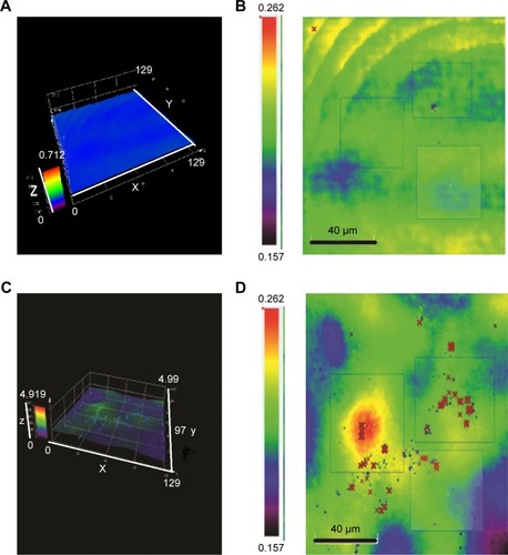 Figure 3 3D Laser scanning microscope showing surface profiles of flat alumina (A and B) and nanoporous alumina-multiwalled carbon nanotubes (C and D).