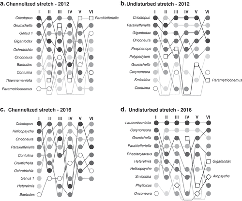 Figure 4. Monthly ranks of the ten most abundant species at the channelized (A and C) and undisturbed (B and D) stretches. Species represented in squares and diamonds appeared in the ranks after the first sampling campaign – dashed-lines represent species that did not appear in the ranks during all sampling campaigns