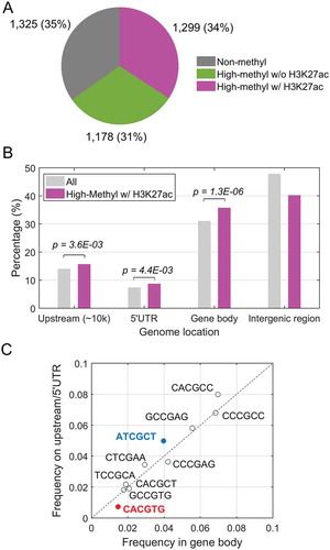 Figure 1. Global analysis of KLF4 binding to mCpGs at enhancer regions. A. Integration of KLF4 ChIP-seq, whole-genome bisulfite sequencing and H3K27ac ChIP-seq data in human glioblastoma U87 cells. A total of 1,299 highly methylated KLF4 binding sites were found to be occupied by enhancer marks as well. B. Distribution of the 1,299 KLF4 binding sites at 10 kb upstream, 5ʹUTR, gene body, and intergenic region. Compared with all KLF4 binding sites, KLF4-mCpG binding sites associated with the H3K27ac mark were significantly enriched in gene bodies. C. Motif analysis of the KLF4-mCpG binding sequences showing location preference at either gene body or upstream/5ʹUTR region.