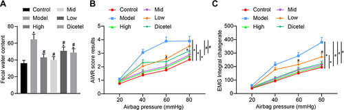 Figure 2 SAHA reduces the visceral sensitivity of D-IBS rats. (A) Comparison of fecal water content of rats after drug intervention; (B) Comparison of AWR scores of rats after drug intervention; (C) Comparison of EMG scores of rats in each group after drug intervention with different doses. The measurement data is represented as mean ± standard deviation. Independent sample t-test was used to compare data between two groups while one-way analysis of variance with Tukey’s post-hoc test was used to compare data among multiple groups. Bonferroni-corrected repeated measures analysis of variance was used for comparison of data of different concentrations (doses). *p < 0.05 compared with the control group. #p < 0.05 compared with the model group. N = 6 for rats in each group.