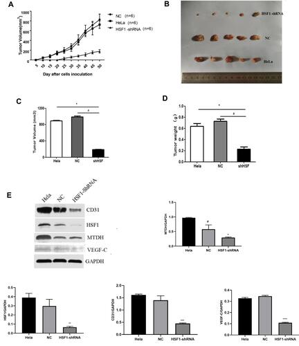 Figure 5 Continued.