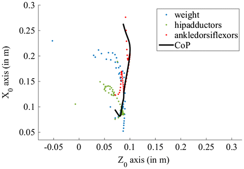 Figure 1. Contributions of pooled musculo-tendon forces and segment weights to the position of the CoP.