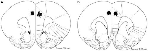 Figure S1 (A) Injection sites (circles) for drug or vehicle infusion in the anterior cingulate cortex. (B) Injection sites (circles) for drug or vehicle infusion in the anterior cingulate cortex.