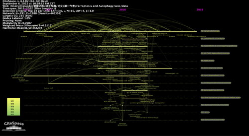 Figure 11. The timeline view of keywords associated with crosstalk between ferroptosis and autophagy.