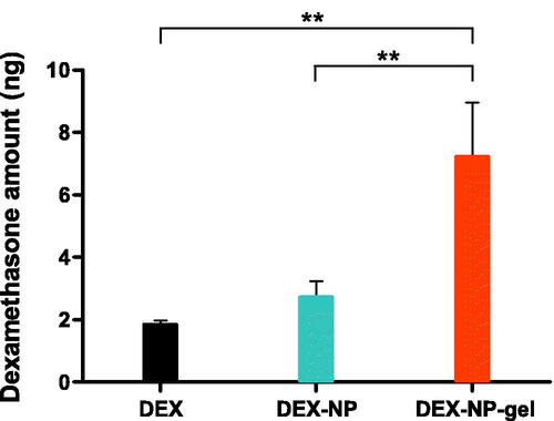Figure 6. Remained amount of DEX in cochlears after 24 h. Data are expressed as the mean ± S.D. (n = 3). DEX-NP-gel was statistically significant compared to DEX and DEX-NP by a one-way ANOVA and Tukey’s post hoc test (**p<.01).
