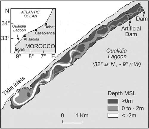 Figure 10. Oualidia lagoon and its bathymetry (adapted from (Hilmi et al., Citation2005))