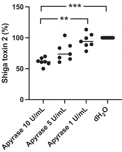 Figure 3. Shiga toxin 2 release from E. coli O157:H7 incubated with apyrase in vitro. E. coli O157:H7 was incubated with 1, 5 or 10 U/mL of apyrase and Stx2 levels measured in culture supernatants. After 6 h incubation there was a dose-dependent and significant decrease in Stx2 release from E. coli O157:H7 compared to untreated bacteria. Stx2 concentration from three separate experiments is presented as percentage of the negative control (dH2O). The bar represents the median. **P < 0.01, ***P < 0.001, Kruskal-Wallis multiple-comparison test followed by Dunn’s procedure.