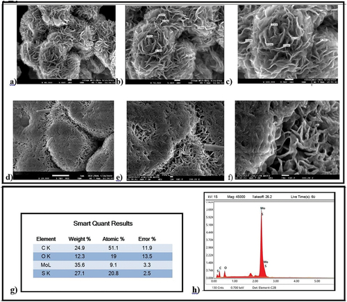 Figure 7. a) the less resolved FESEM image of homogeneous flower-shaped MoS2 nanosheets. b,c) the close-up views of nanoflowers consisting of several well-separated nanosheets. d) FESEM image of MNF-ICG hybrid represents uniform thick layers of ICG on MNF.E,f) physically absorbed ICG between MoS2 nanosheets through the pores of the nanoflower’s structure. g,h) EDS spectrum represents percentage and graphical elements content.