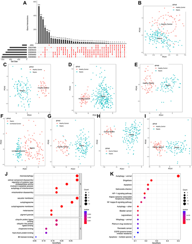 Figure 2 Identification of differentially expressed ARGs in sepsis and Functional enrichment analysis. (A) An UpSet diagram exhibited the interactions result of GEO datasets difference analysis and ARG cohorts. (B–I) Principal component analysis for the expression profiles of DEARGs to distinguish sepsis patients from healthy control/uninfected control/control patients in multi-transcriptome cohorts. (B) GSE54514 datasets; (C) GSE57065 datasets; (D) GSE65682 datasets; (E) GSE69063 datasets; (F) GSE69528 datasets; (G) GSE95233 datasets; (H) GSE131761 datasets; (I) GSE154918 datasets. (J and K) Bubble plots illustrating functional enrichment analysis using DEARGs. (J) The top 15 significant terms of Gene Ontology (GO), including the molecular function (MF), cellular component (CC), and biological process (BP). (K) The top 15 significant pathways in Kyoto Encyclopedia of Genes and Genomes (KEGG) enriched.