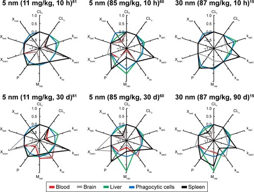 Figure 4 Sensitivity analyses of the physiologically based pharmacokinetic (PBPK) model calibrated with 5 and 30 nm ceria administered intravenously to rats.Notes: Normalized sensitivity coefficients for nanoparticle-specific parameters in blood, liver, spleen, brain, and phagocytic cell compartments are given for 10 h after dosing and at the end of the experiment (30 d for 5 nm and 90 d for 30 nm). Experimental data used for modeling are from Yokel et al.Citation15,Citation60,Citation61Abbreviations: CLf, clearance rate constant to feces; CLu, clearance rate constant to urine; kab0, uptake rate constant by phagocytic cells; ksab0, uptake rate constant by phagocytic cells in spleen; kde, exocytosis rate constant from phagocytic cells; Mcap, maximum uptake capacity per phagocytic cell; P, partition coefficient between blood and tissue; Xfast, coefficient of permeability from blood to liver, spleen, and bone marrow; Xrest, coefficient of permeability from blood to lung, kidney, heart, and carcass; Xbrain, coefficient of permeability from blood to brain.