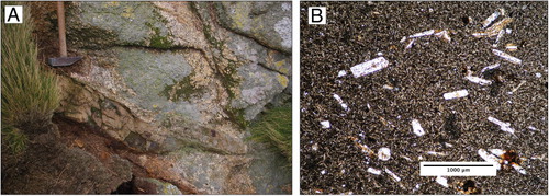 Figure 6 A, Basaltic dyke on Broughton Island cutting across megacrystic granite. The hammer head, which rests directly above the dyke, is c. 10 cm wide; B, An igneous texture is well preserved in the basaltic dykes, although the mineralogy is highly altered.