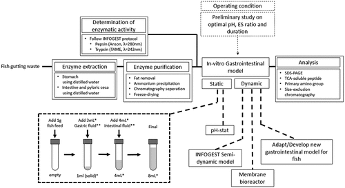 Figure 5. Suggested protocol for in-vitro digestion study for fish. *the total volume and amount of digestive fluid added could be scaled with the amount of sample. **the digestive fluid contains the amount of enzymes determined during the preliminary study