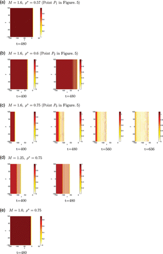 Figure 6. Types of 2D travelling wave solutions for the go-or-grow model under mechanism M1. We present plots of the immotile and proliferating cell population ρ2, our choices of M and ρ* being guided by the parameter regimes depicted in Figure 5. Cases (a)–(c) are obtained by fixing M and increasing ρ*; they correspond to the points P i shown on Figure 5. Cases (c)–(e) are obtained by fixing ρ* and decreasing M. For each set of parameter values, we plot the density over the 2D domain at times when the dynamics change. The density level is given by the colour bar to the right of each figure. Cases (a) and (e) are associated with region 1 (simple travelling wave), cases (b) and (d) with region 2 (non-uniform stationary core behind the oscillatory moving front), and case (c) with region 3 (irregular spatio-temporal oscillations behind the oscillatory moving front).