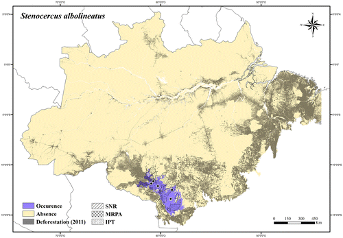 Figure 119. Occurrence area and records of Stenocercus albolineatus in the Brazilian Amazonia, showing the overlap with protected and deforested areas.