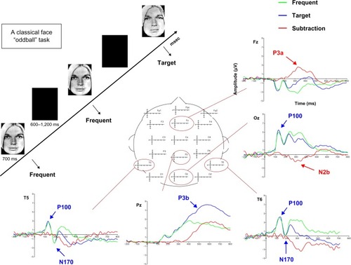 Figure 1 Illustration of the different ERP components recorded in a face-oddball task, in which participants have to detect as quickly as possible the appearance of a target “emotional sad” face among a train of frequent neutral faces by clicking on a button. The P100 component, recorded around 100 ms, refers to the visual perceptive analysis of the stimulus, and can be modulated through attention by different mechanisms such as complexity or motivation. The N170 component is a bilateral occipito-temporal negativity, recorded around 170 ms that refers to the structural encoding of facial information in order to generate a representation of the observed face in short-term memory. The N2b/P3a is a bipolar complex, obtained by subtracting the activity recorded for frequent stimuli from the one obtained for targets, with a posterior negativity recorded around 250 ms, referring to the allocation of attentional resources, while the frontal P3a is more sensitive to stimulus novelty. This complex is functionally seen as the switch of attention needed to process something new appearing in the environment. Finally, the P3b component is a parietal activity indexing pre-motor response stages that shows that the facial representation created in short-term memory for frequent faces has been updated, so that a behavioral motor response may be prepared.