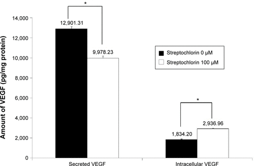 Figure S1 Effect of streptochlorin on secreted and intracellular VEGF in SNU478 cells.