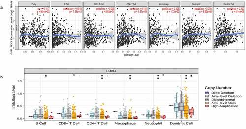 Figure 5. PPP1R3G relates to immune infiltration level in lung adenocarcinoma (LUAD)