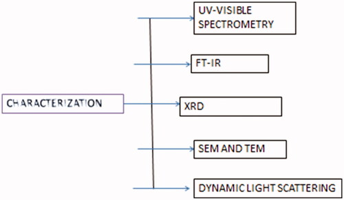 Figure 3. Characterization techniques.