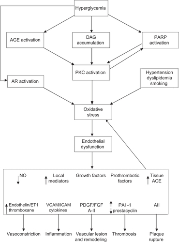 Figure 3 Pathophysiology of microvascular injury.